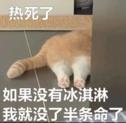 别光想着干饭,夏季警惕肠道传染病!